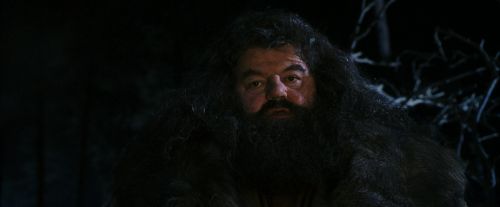 Click to view full size image
==============
PF-Potterish_08952.jpg PF-Potterish_08952.jpg