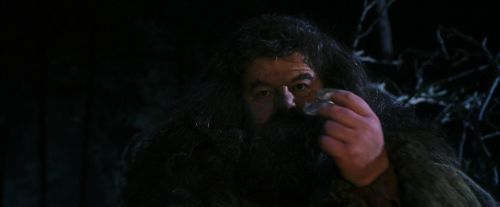 PF-Potterish_08954.jpg