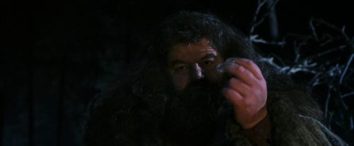 Click to view full size image
==============
PF-Potterish_08955.jpg PF-Potterish_08955.jpg