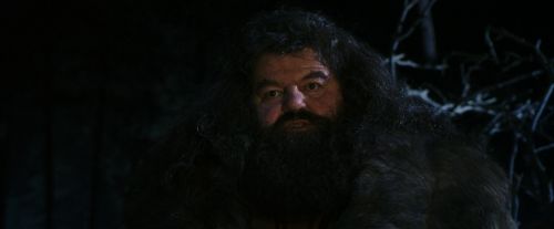 PF-Potterish_08956.jpg