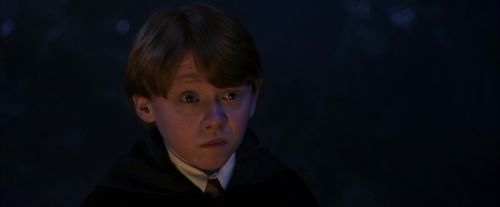 PF-Potterish_08958.jpg