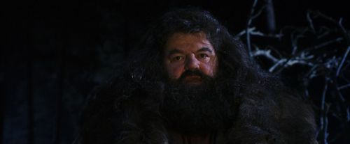 PF-Potterish_08964.jpg