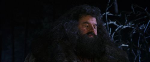 PF-Potterish_08965.jpg