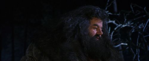 PF-Potterish_08966.jpg