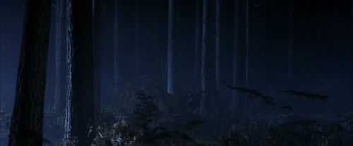 Click to view full size image
==============
PF-Potterish_08971.jpg PF-Potterish_08971.jpg