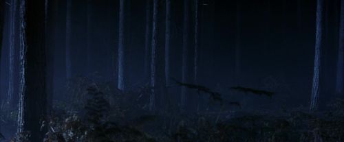 PF-Potterish_08973.jpg