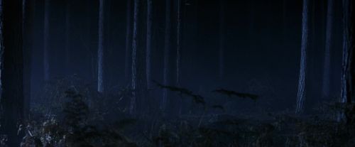 PF-Potterish_08974.jpg