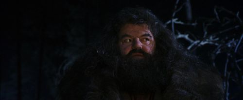 PF-Potterish_08976.jpg