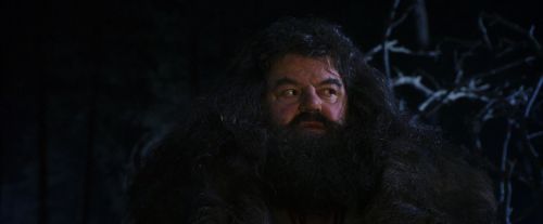 PF-Potterish_08977.jpg