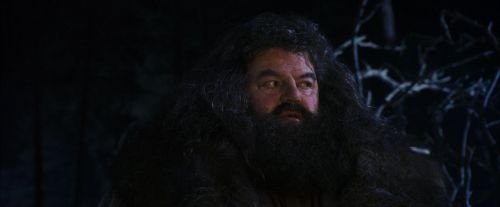 PF-Potterish_08978.jpg