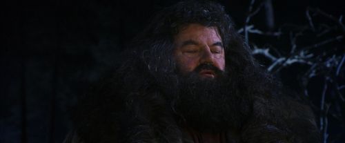 Click to view full size image
==============
PF-Potterish_08982.jpg PF-Potterish_08982.jpg