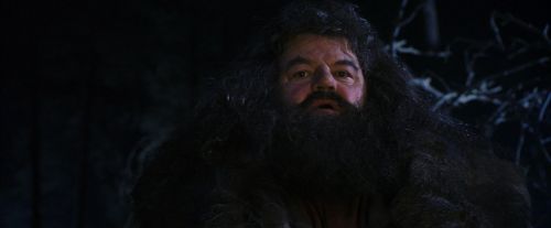 PF-Potterish_08983.jpg