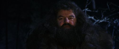 Click to view full size image
==============
PF-Potterish_08984.jpg PF-Potterish_08984.jpg