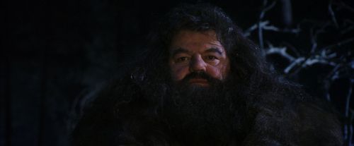 PF-Potterish_08986.jpg