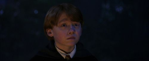 PF-Potterish_08992.jpg