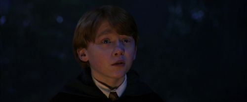 PF-Potterish_08993.jpg