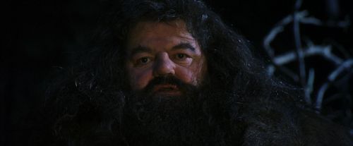 PF-Potterish_09007.jpg