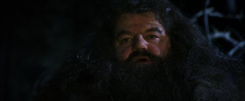 PF-Potterish_09008.jpg