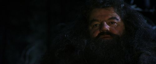 PF-Potterish_09009.jpg