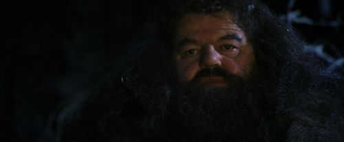PF-Potterish_09010.jpg