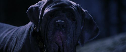 Click to view full size image
==============
PF-Potterish_09016.jpg PF-Potterish_09016.jpg