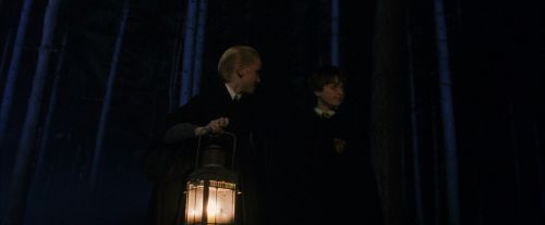 PF-Potterish_09039.jpg