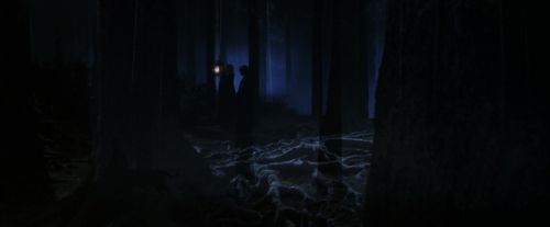 PF-Potterish_09055.jpg