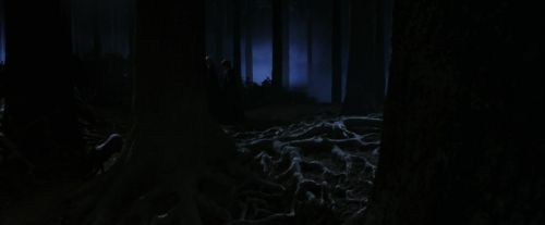 PF-Potterish_09057.jpg