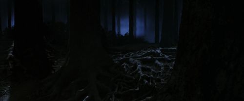 Click to view full size image
==============
PF-Potterish_09058.jpg PF-Potterish_09058.jpg