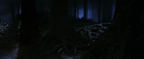 Click to view full size image
==============
PF-Potterish_09060.jpg PF-Potterish_09060.jpg