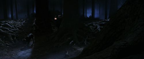 PF-Potterish_09063.jpg