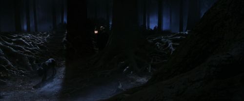 PF-Potterish_09064.jpg