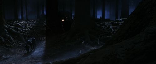 PF-Potterish_09065.jpg