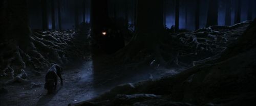 PF-Potterish_09068.jpg