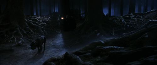 PF-Potterish_09070.jpg