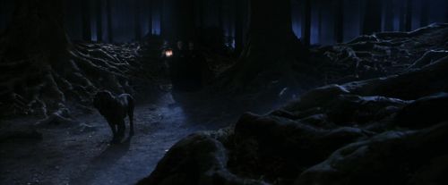 PF-Potterish_09072.jpg