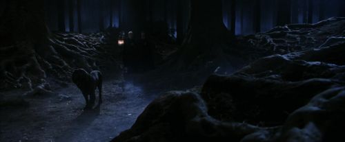 Click to view full size image
==============
PF-Potterish_09073.jpg PF-Potterish_09073.jpg