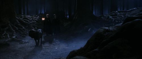 PF-Potterish_09076.jpg