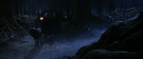 Click to view full size image
==============
PF-Potterish_09077.jpg PF-Potterish_09077.jpg