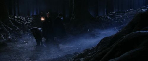 PF-Potterish_09079.jpg