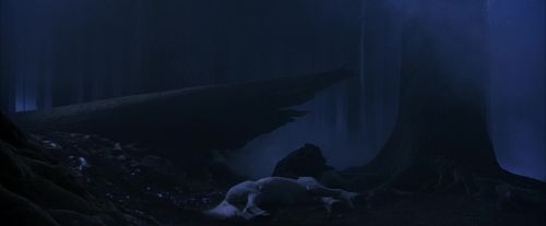 PF-Potterish_09088.jpg