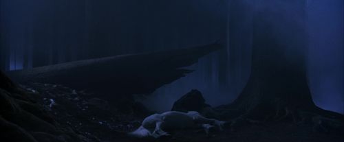 PF-Potterish_09089.jpg