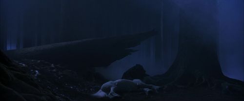 PF-Potterish_09091.jpg