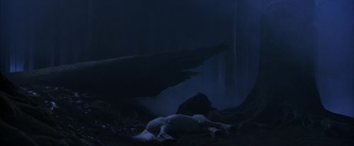 PF-Potterish_09092.jpg