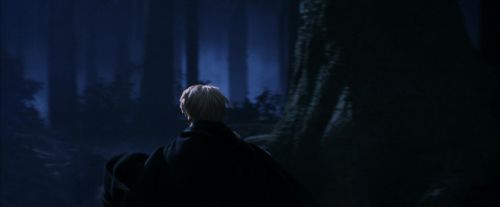 PF-Potterish_09108.jpg