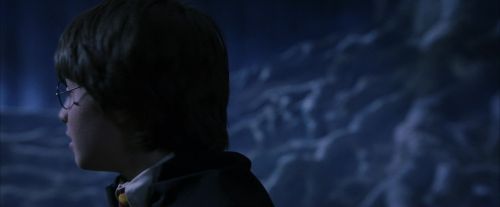 PF-Potterish_09112.jpg