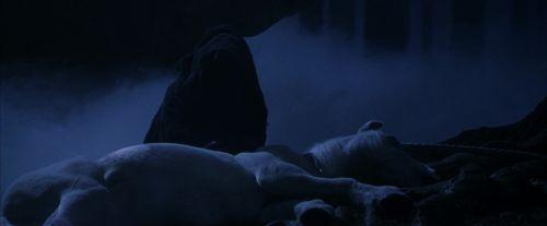 PF-Potterish_09114.jpg