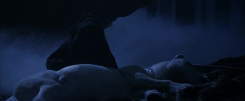 PF-Potterish_09115.jpg