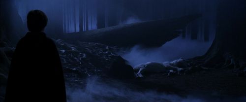 PF-Potterish_09119.jpg