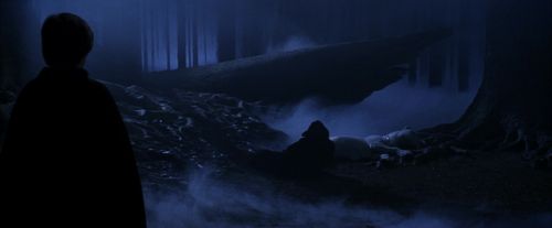 Click to view full size image
==============
PF-Potterish_09120.jpg PF-Potterish_09120.jpg